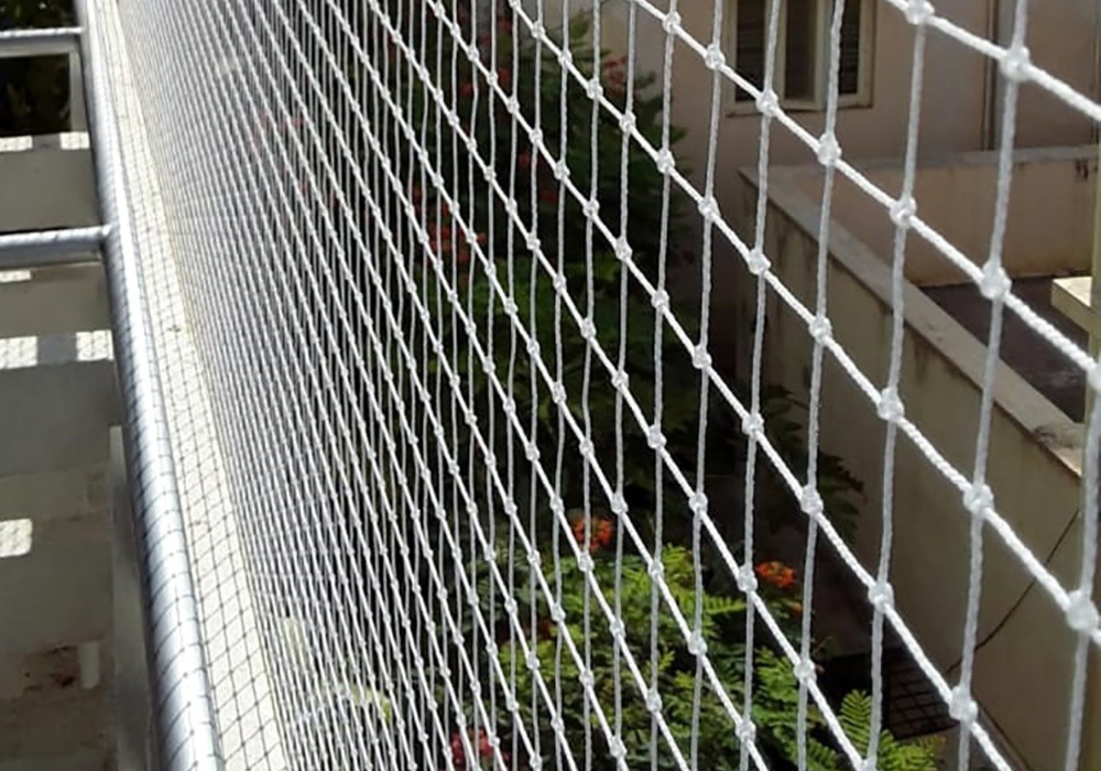 pigeon nets 4